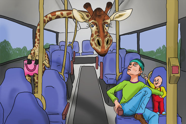It was the start of a long journey and the giraffe was glad she managed to get a seat on the bus.